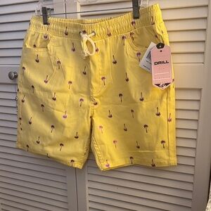 Drill NYC Clothing Company Men Palm Tree Board Shorts NWT Large
